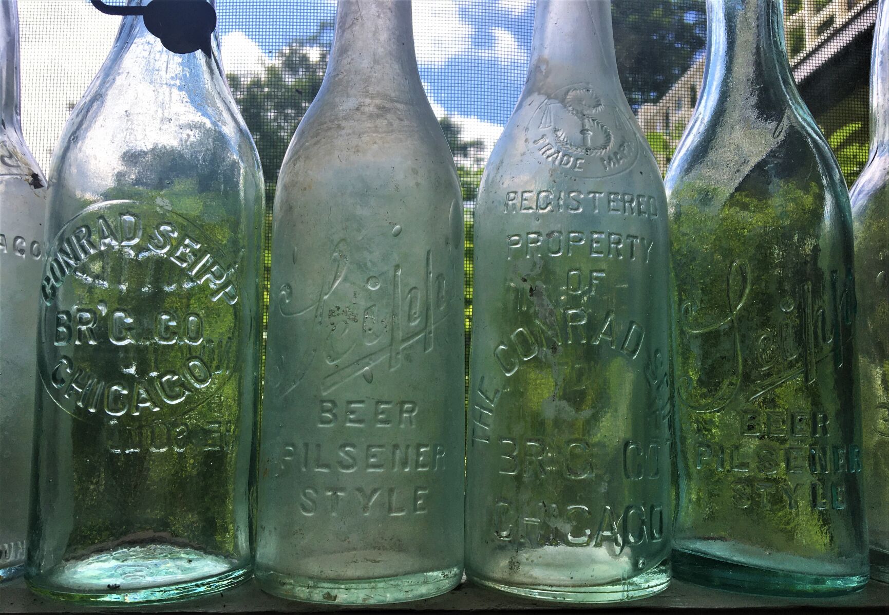 Black Point: Seipp Beer Bottles